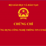 Chứng Chỉ Tin Học Là Gì? Các Loại Phổ Biến